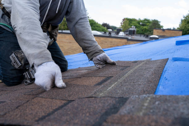 Best Roof Gutter Cleaning  in Belle, MO