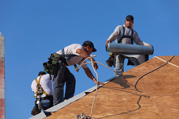 Best Roof Maintenance Services  in Belle, MO